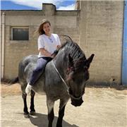 Sono laureato in ingegneria e sono disponibile per fare lezioni di matematica nel tardo pomeriggio o nei weekend